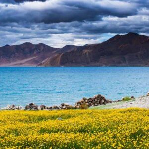 Kashmir